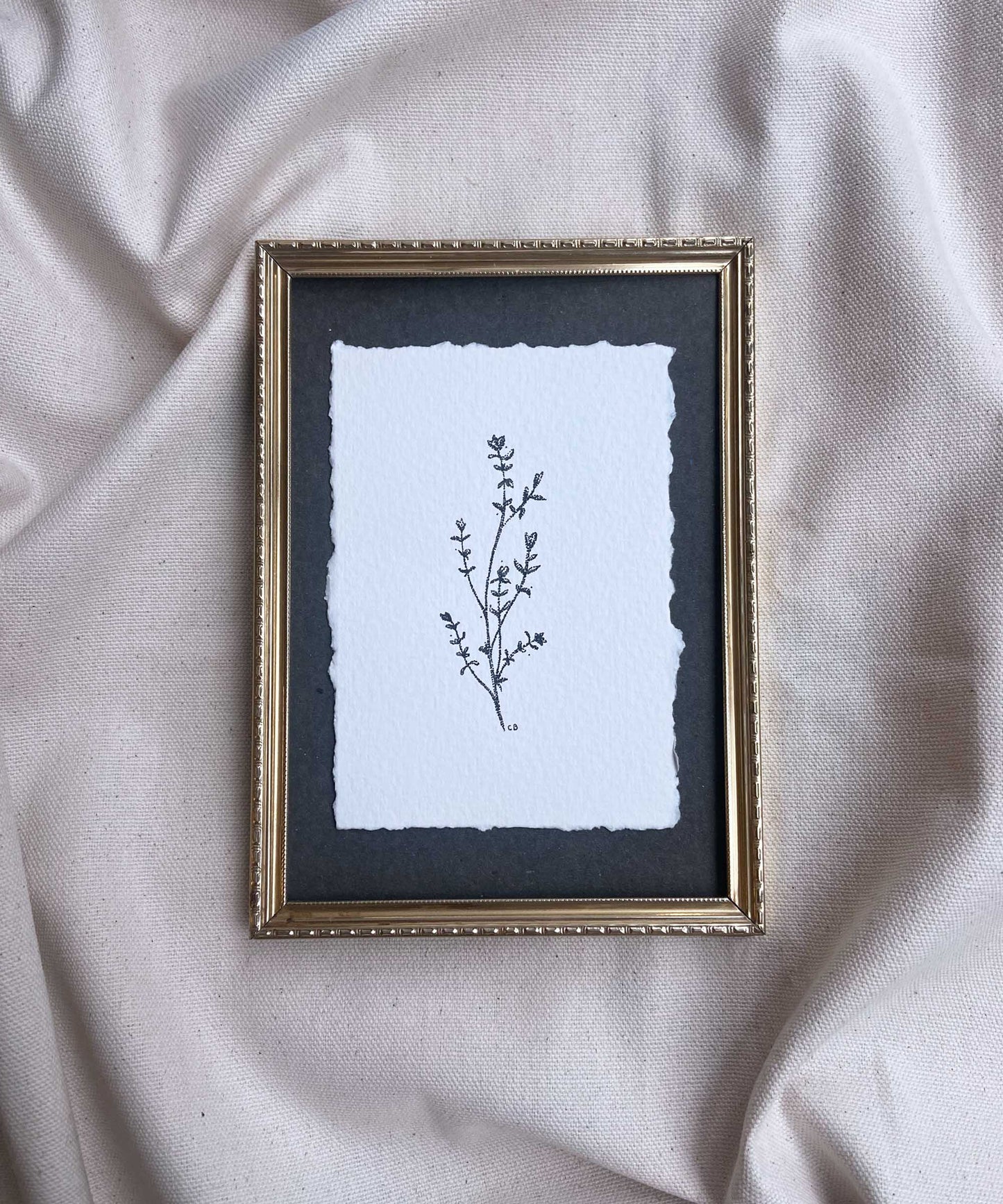 Thyme Study #20