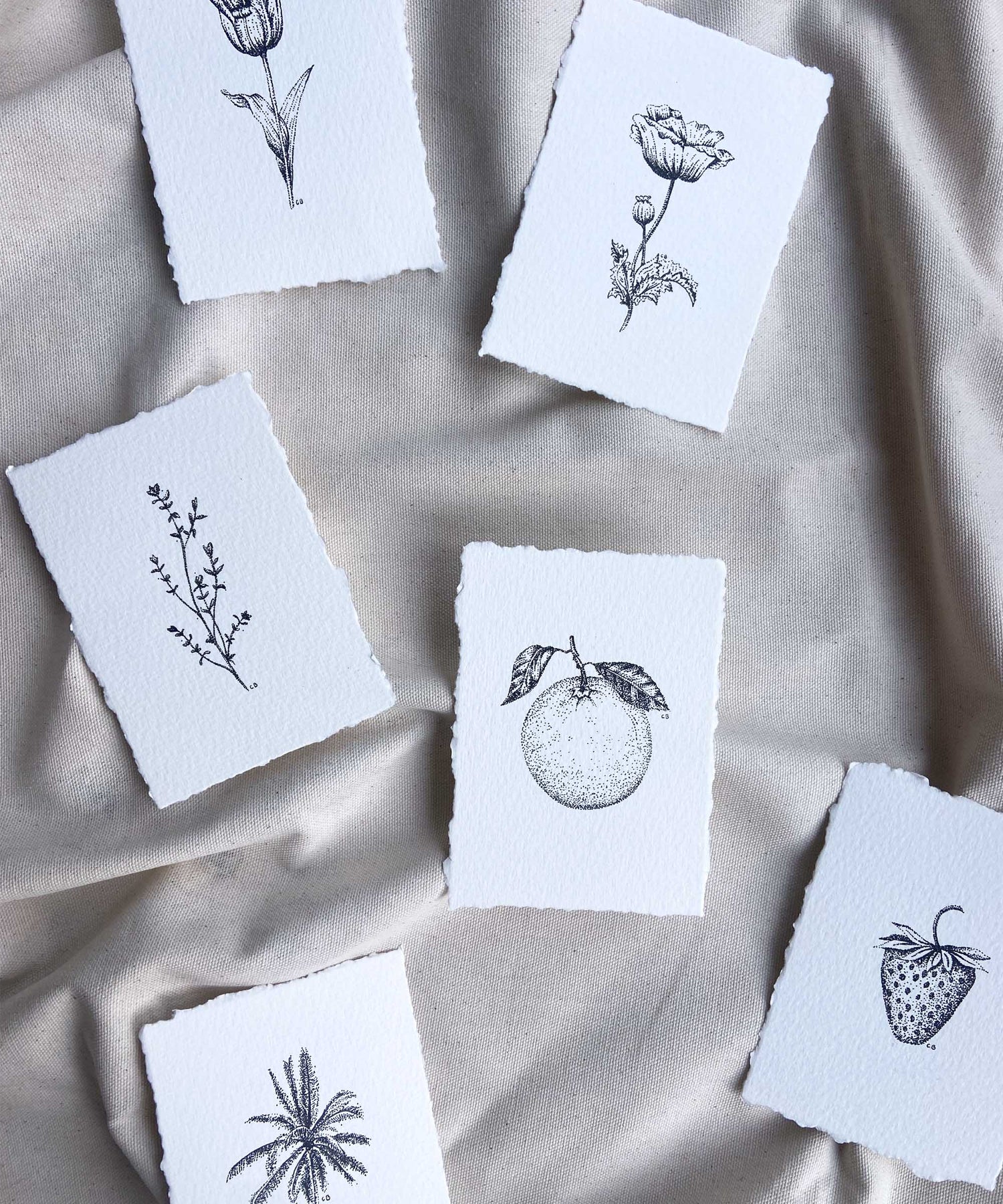 Studies