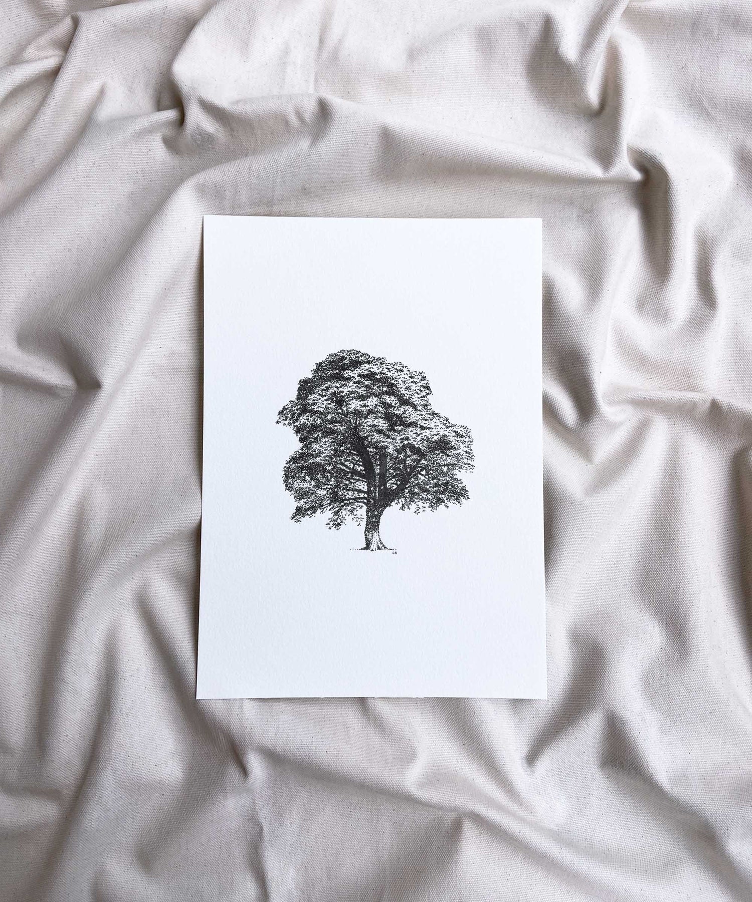 Art Prints