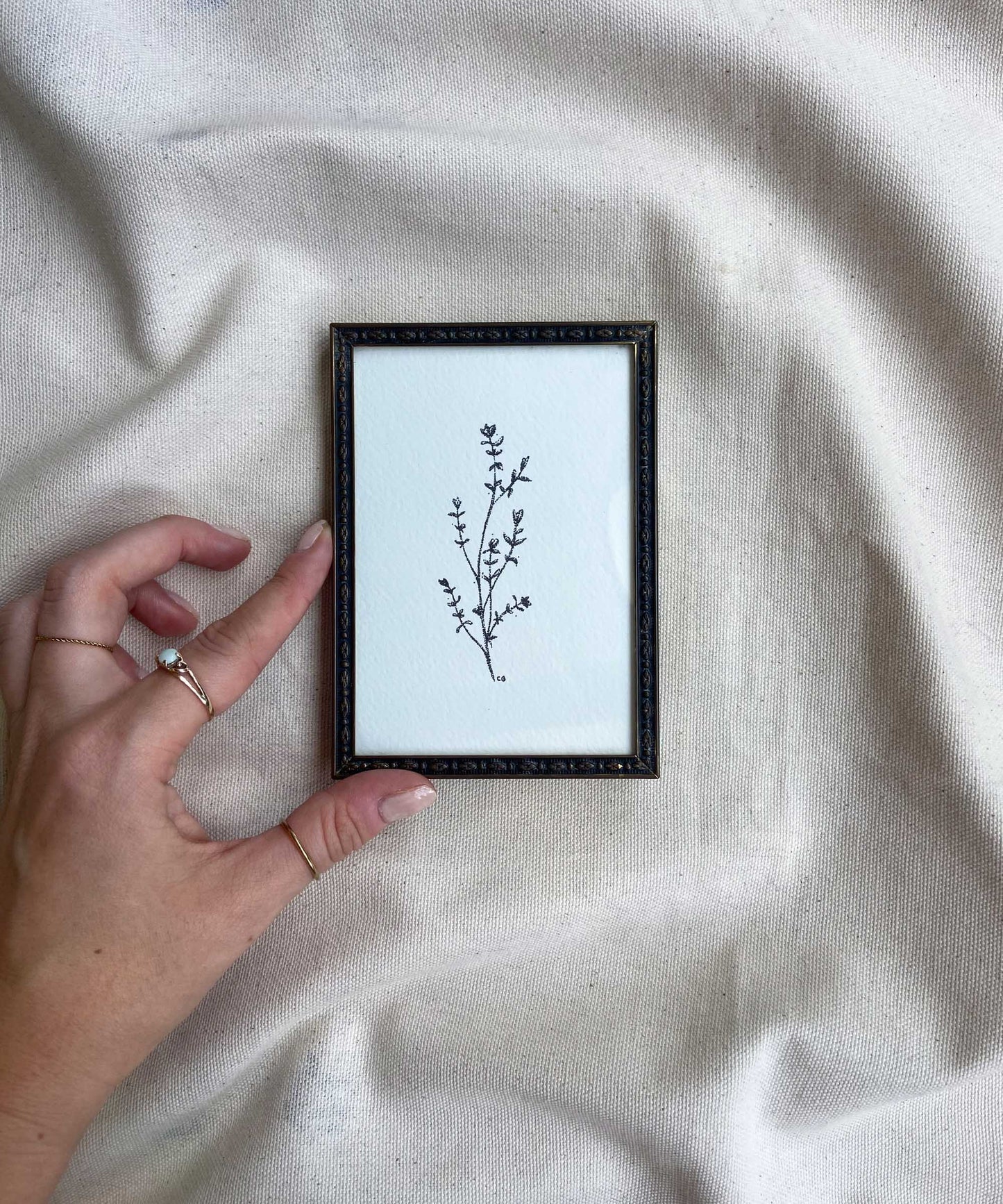 Thyme framed print