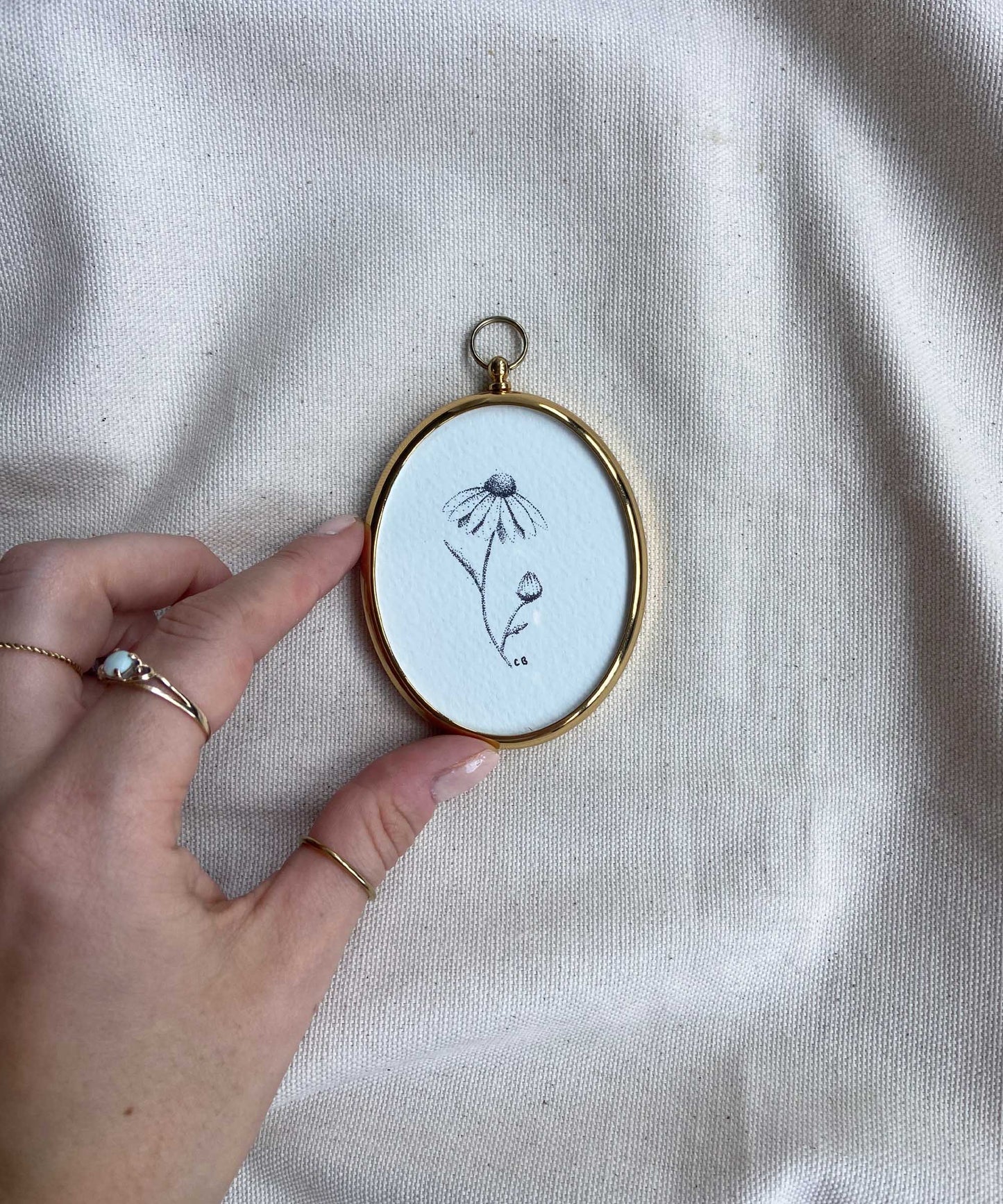 Daisy framed print