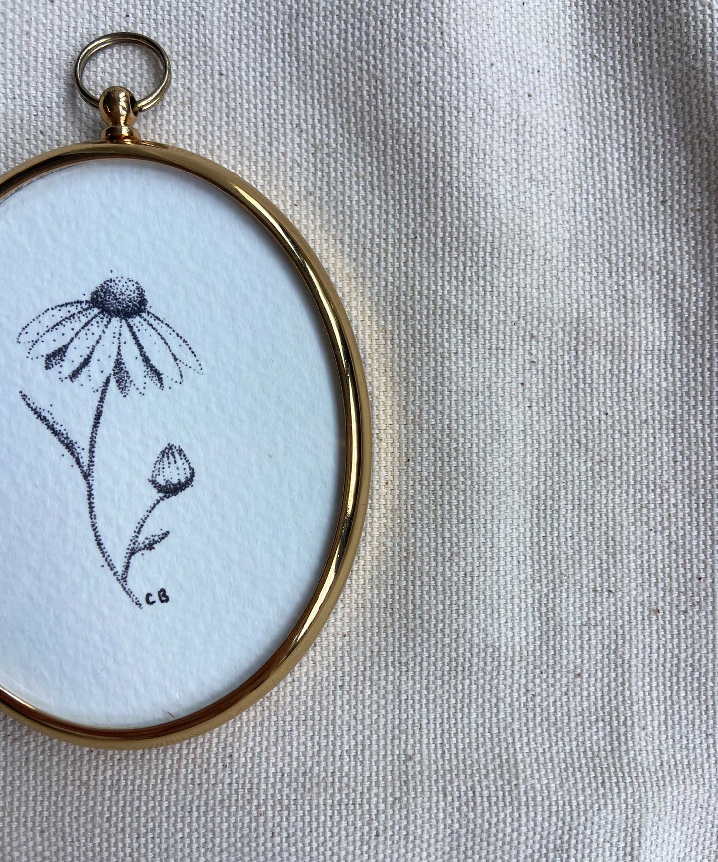 Daisy framed print