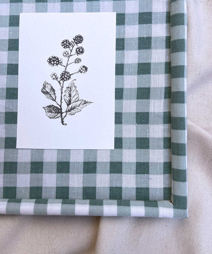 Blackberry framed print