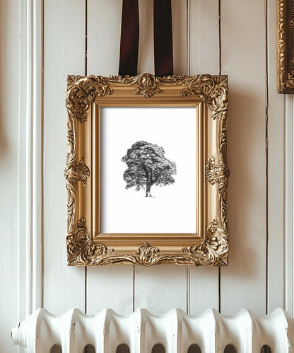 Sycamore Gap Art Print