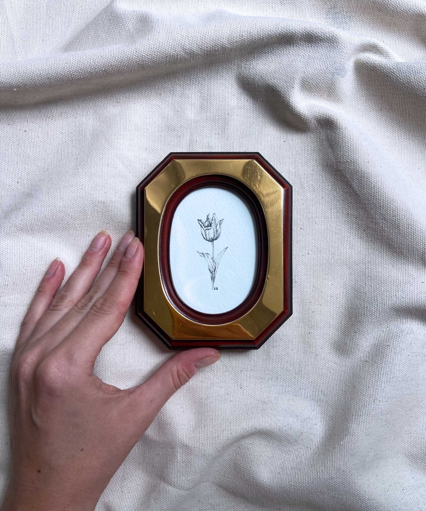 Tulip framed print