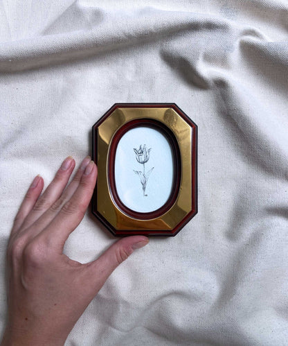 Tulip framed print